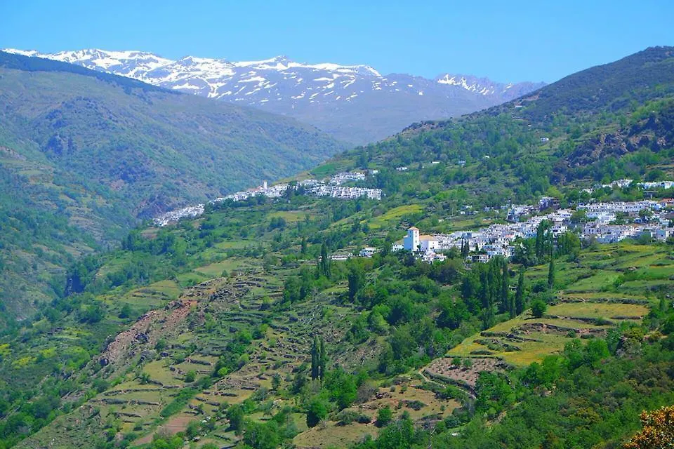 Apartamentos Rurales Panjuila